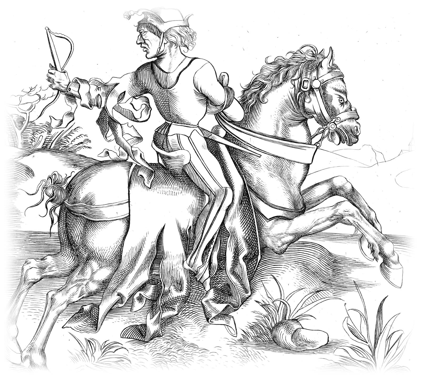 Dürer's courier